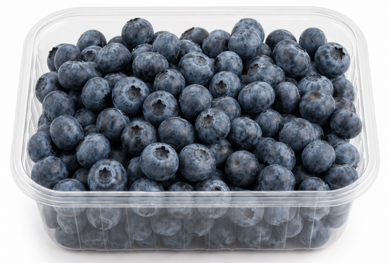 500g Schale frische Heidelbeeren