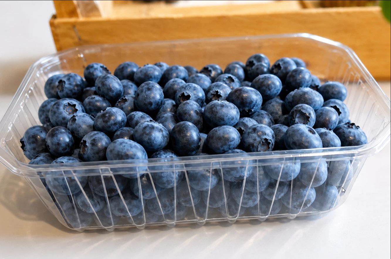 Frische Heidelbeeren